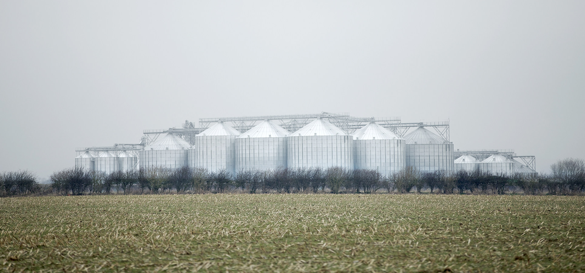 Woldgrain Storage Ltd, Jessops Construction Ltd